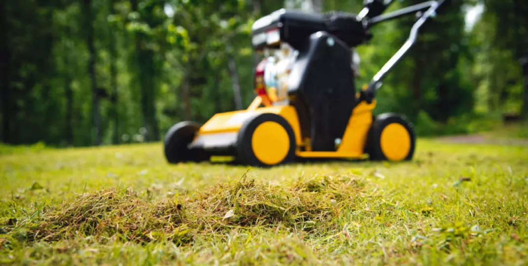Wiosenny lifting trawnika przy użyciu wertykulatora: o czym musisz pamiętać?